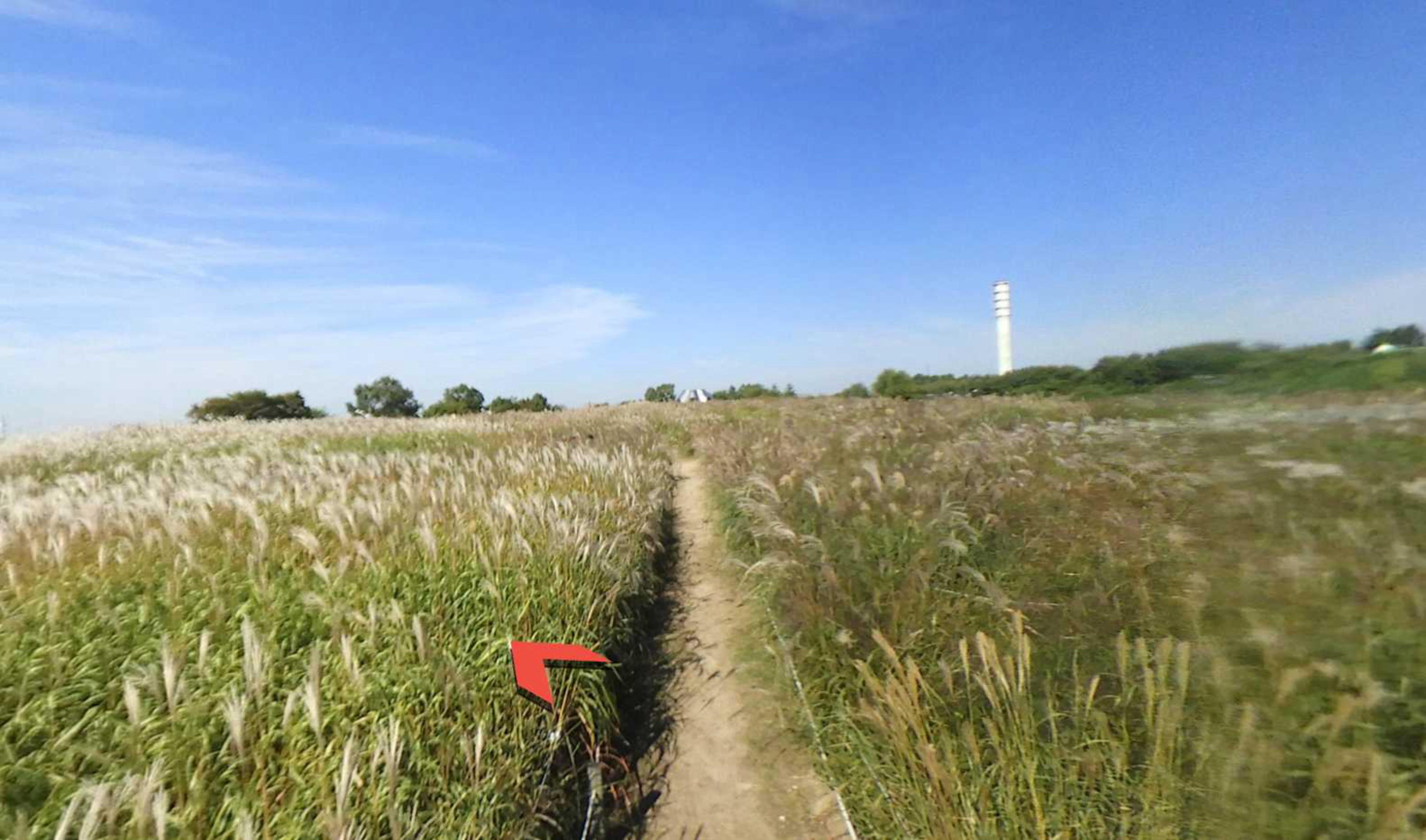 Haneul Park virtual tour preview