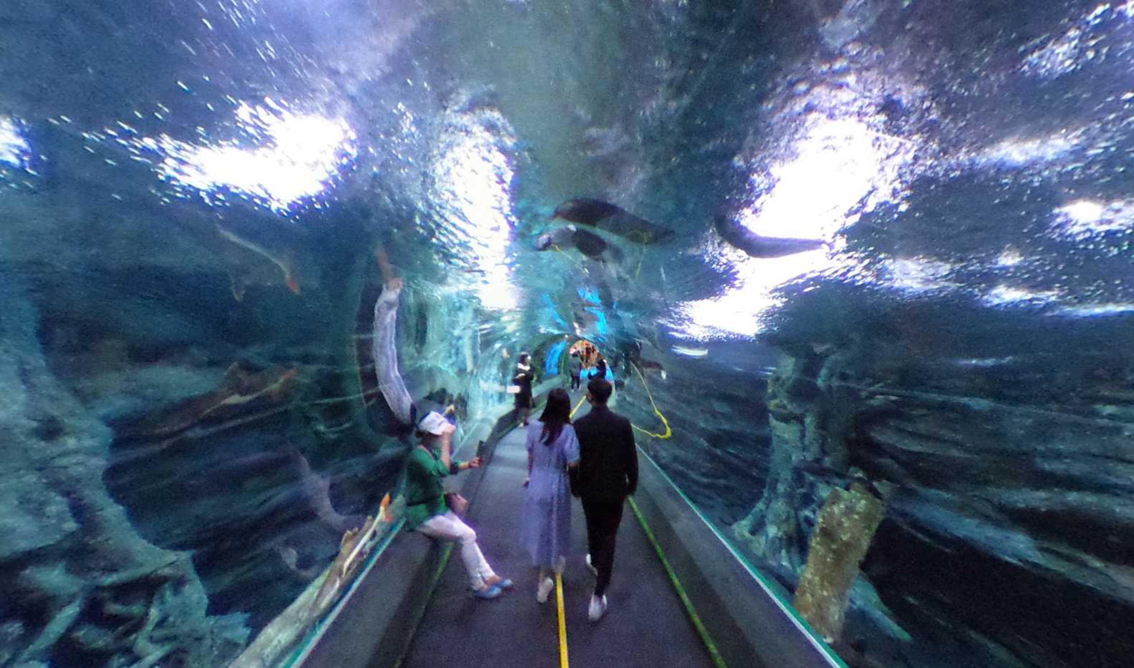 LOTTE World Aquarium, Seoul virtual tour preview