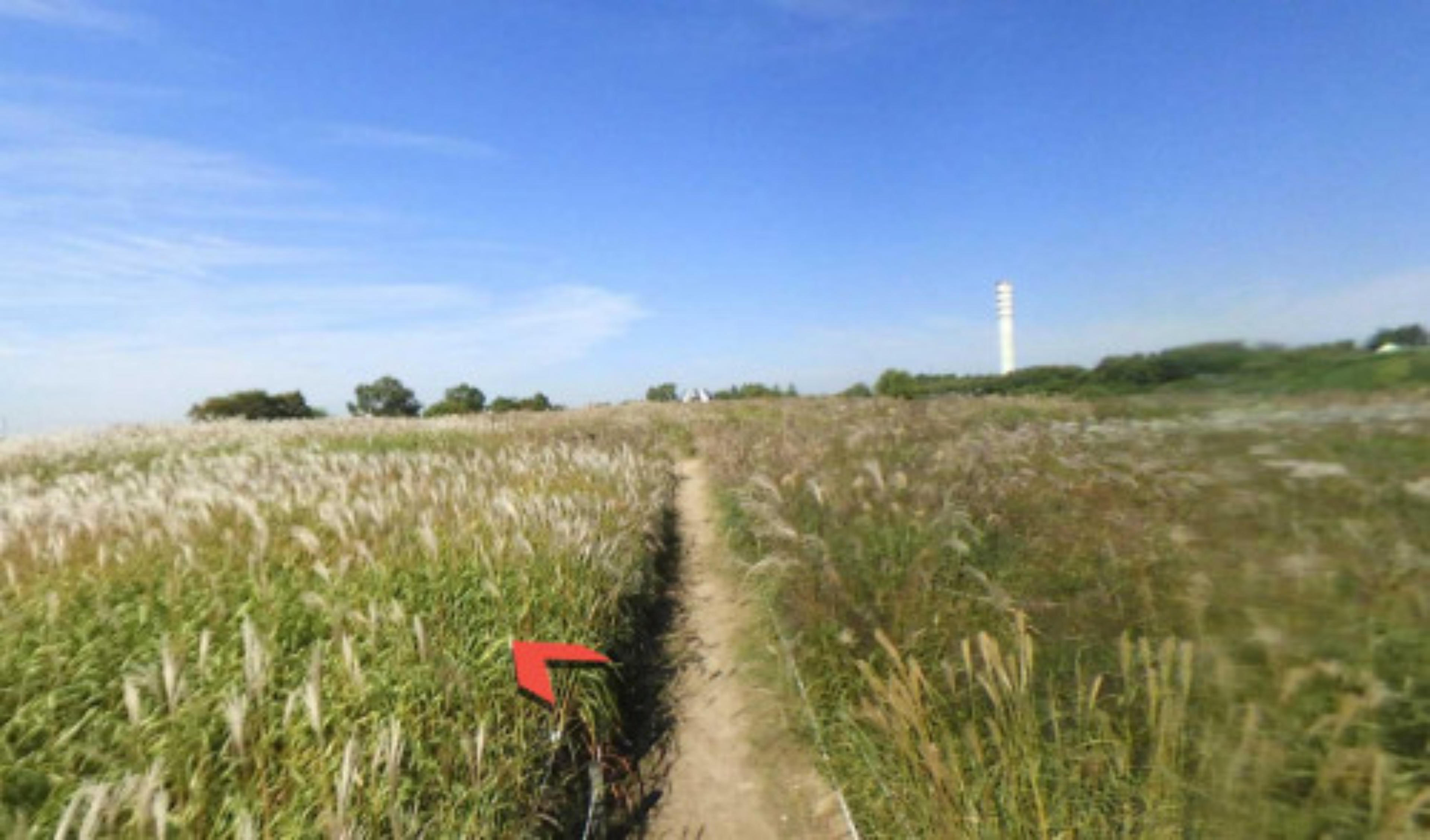 Haneul Park virtual tour preview